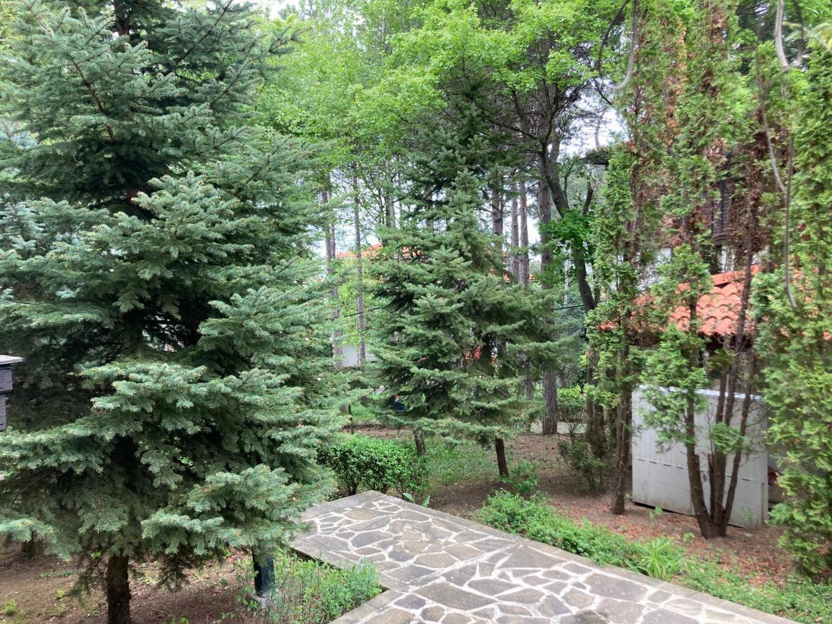 Lovely Apartment Santa Marina Sozopol Exterior foto